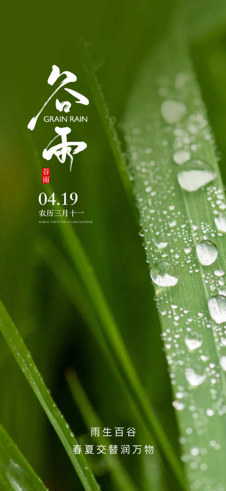 地产谷雨节气海报_源文件下载_PSD格式_1125X2436像素-意境,峡谷,春天,生机,露珠,雨水,谷雨,二十四节气,房地产,海报-作品编号:2024032522186638-源文件库-ywjfx.cn