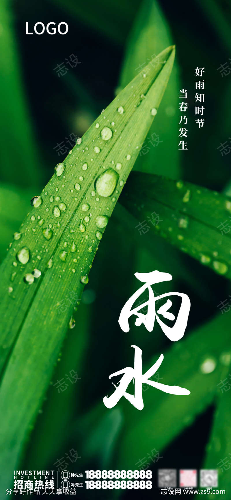 雨水节气海报