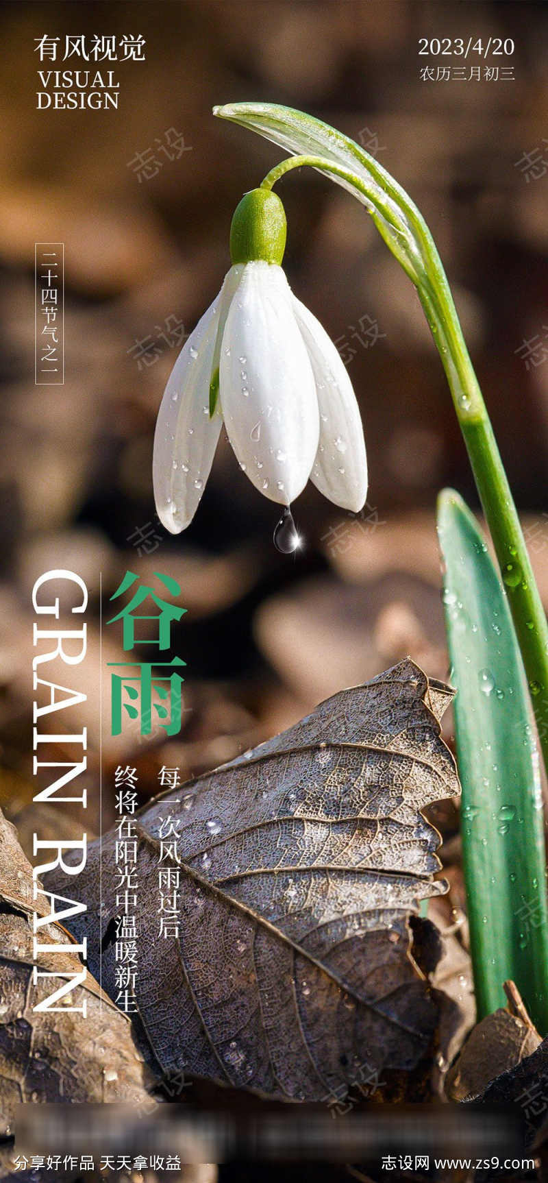 二十四节气谷雨海报