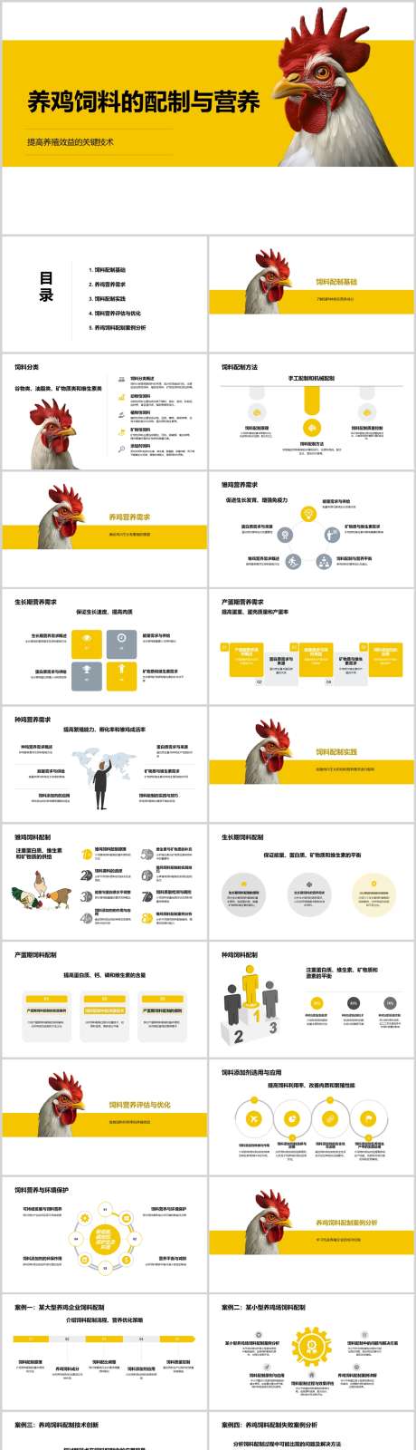 养鸡饲料的配制与营养PPT_源文件下载_其他格式格式_1212X4788像素-营养,配制,饲料,养鸡,PPT-作品编号:2024041315354859-源文件库-ywjfx.cn