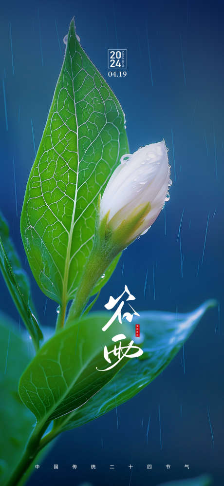 谷雨节气海报_源文件下载_PSD格式_1124X2436像素-植物,简约,唯美,意境,谷雨,海报,节气-作品编号:2024041413409420-志设-zs9.com