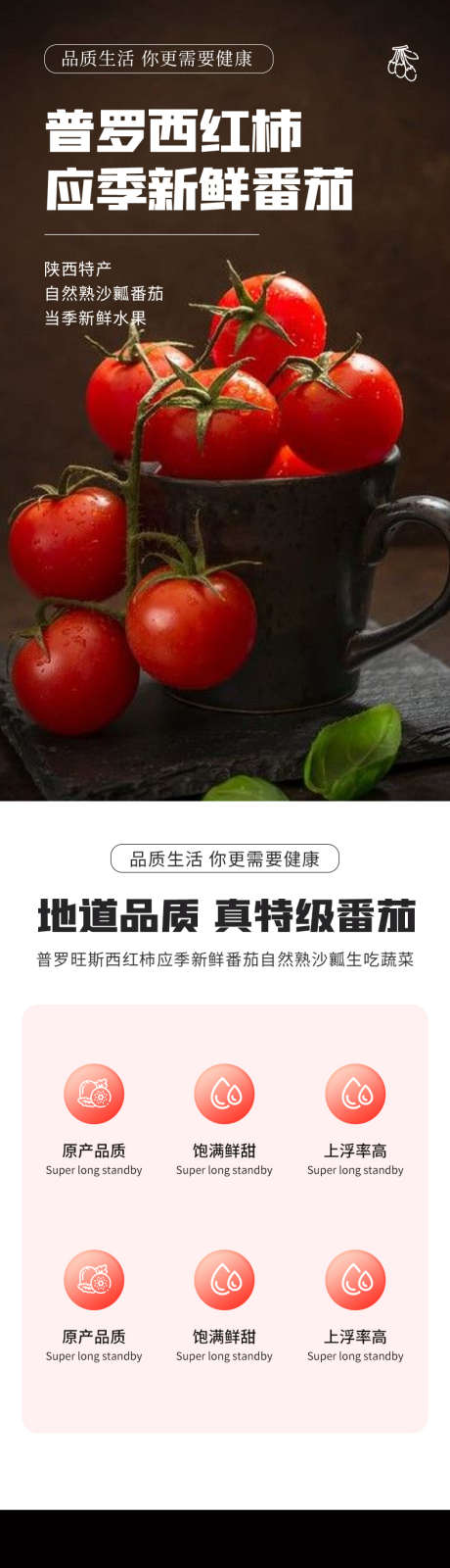 简约大气生鲜水果蔬菜番茄西红柿详情页_源文件下载_PSD格式_790X16123像素-农产品,西红柿,番茄,详情页,蔬菜,大气,简约-作品编号:2024041410436798-源文件库-ywjfx.cn