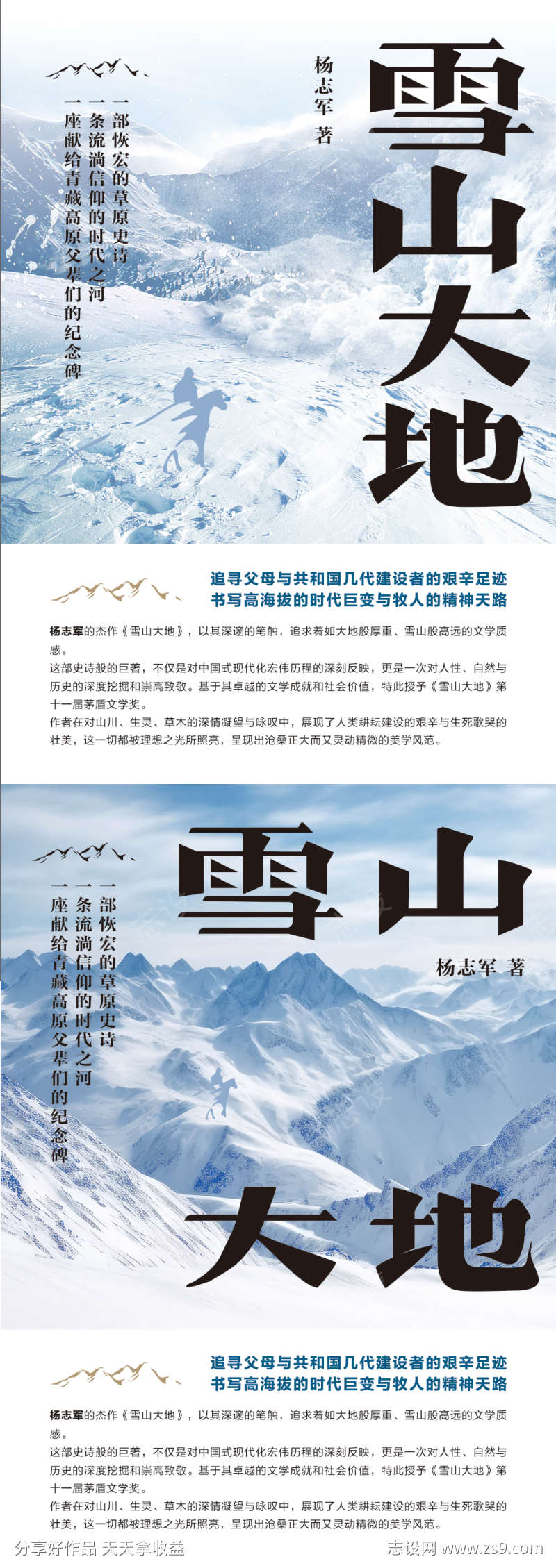 雪山大地海报