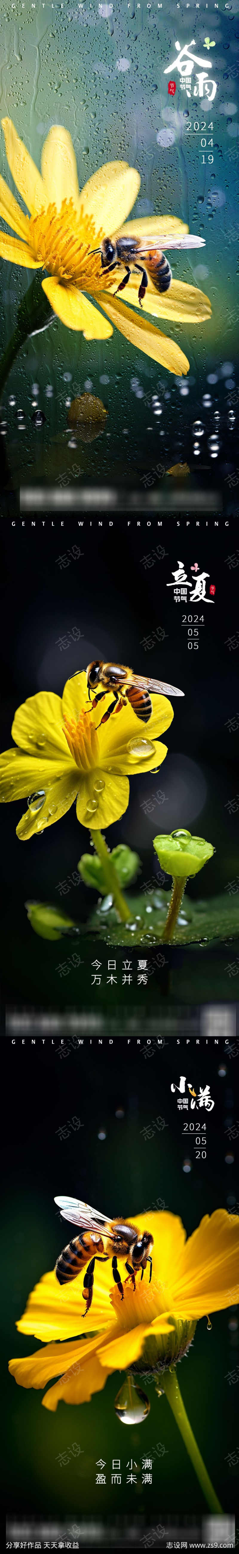 谷雨立夏小满微观小蜜蜂