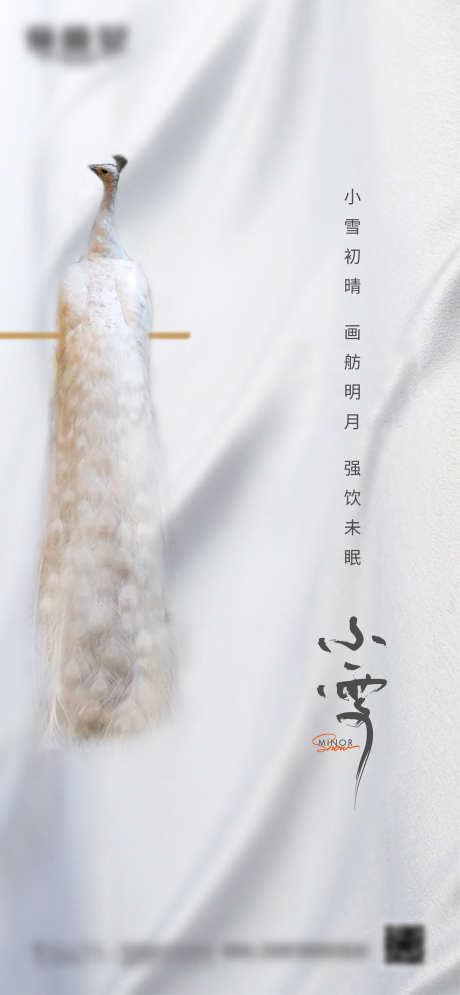 小雪节气海报_源文件下载_AI格式_1667X3606像素-小雪,节气,微信,海报,地产,简约-作品编号:2024042009588756-源文件库-ywjfx.cn