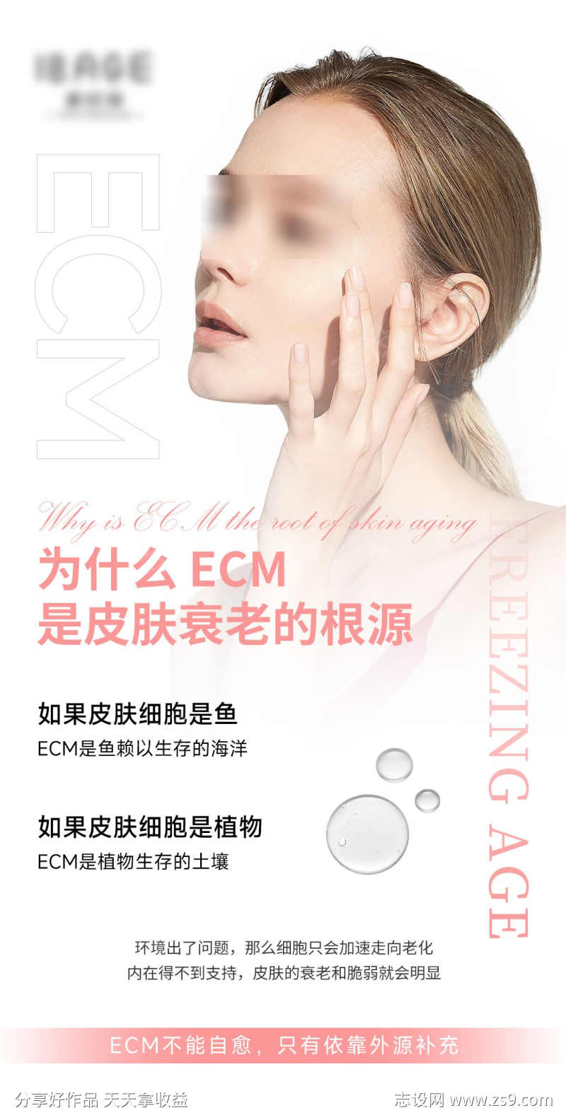 ECM是皮肤衰老的根源