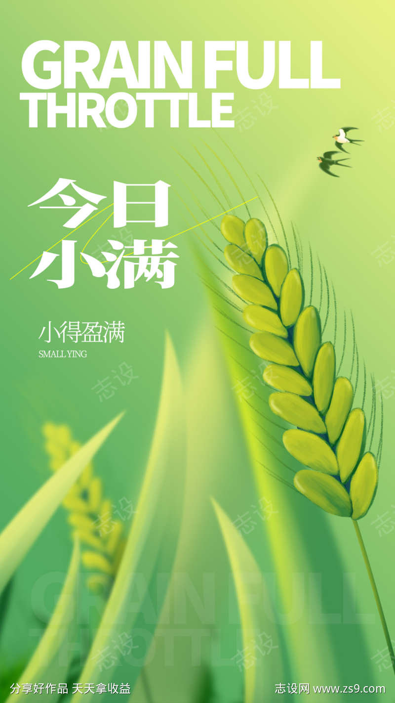 小满节气海报