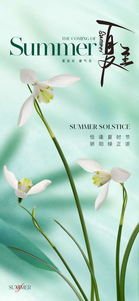 地产美业夏至节气海报_源文件下载_PSD格式_1200X2599像素-花卉,鲜花,淡雅,质感,高级,朦胧,弥散,唯美,夏天,夏季,清新,绿色,海报,节气,夏至,美业,地产-作品编号:2024051720074737-源文件库-ywjfx.cn