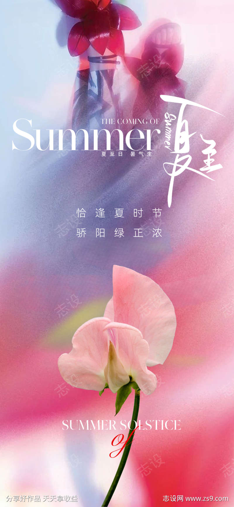 地产美业夏至节气海报