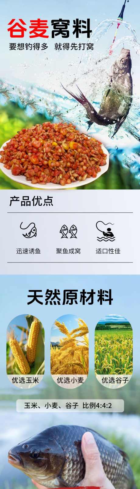 谷麦窝料钓鱼饲料_源文件下载_PSD格式_790X6587像素-谷麦,窝料,钓鱼,详情,长图-作品编号:2024060110478199-源文件库-ywjfx.cn