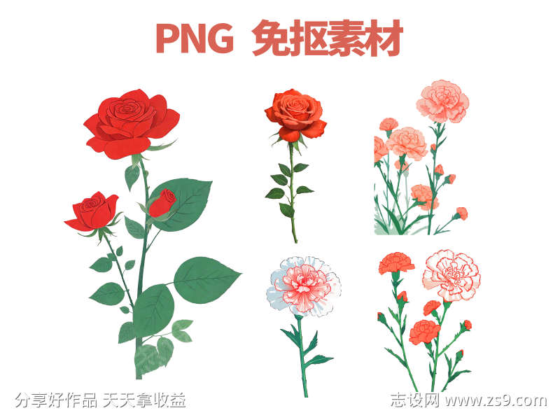 玫瑰花康乃馨花朵免抠素材PNG元素