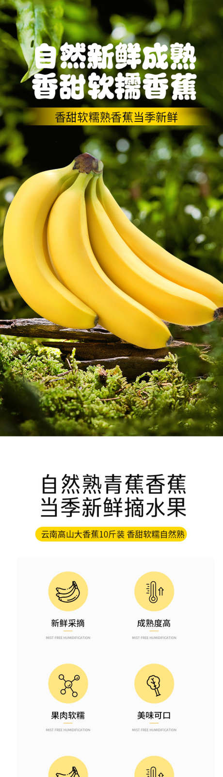 生鲜水果香蕉蔬菜海报_源文件下载_PSD格式_900X1600像素-详情页,特产,原产,农产品,水果,香蕉,当季-作品编号:2024061315385073-源文件库-ywjfx.cn