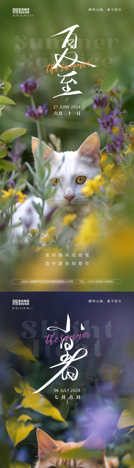 夏至小暑大暑小猫海报_源文件下载_PSD格式_1080X2340像素-可爱,动物,小猫,系列,清新,自然,花园,风景,大暑,小暑,夏至,二十四节气,房地产,海报-作品编号:2024061411301307-源文件库-ywjfx.cn