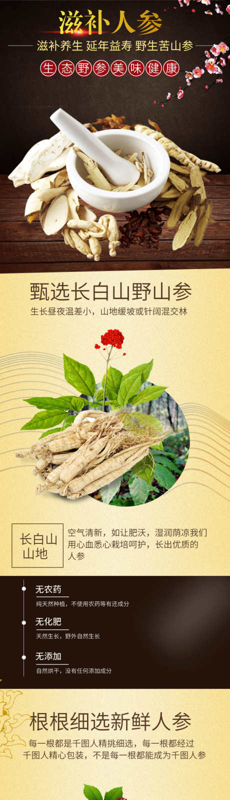 人参详情页_源文件下载_PSD格式_790X9854像素-商场,详情页,淘宝,食物,食品,电商,干果,干货,补品,滋补品,人参-作品编号:2024070216586524-源文件库-ywjfx.cn