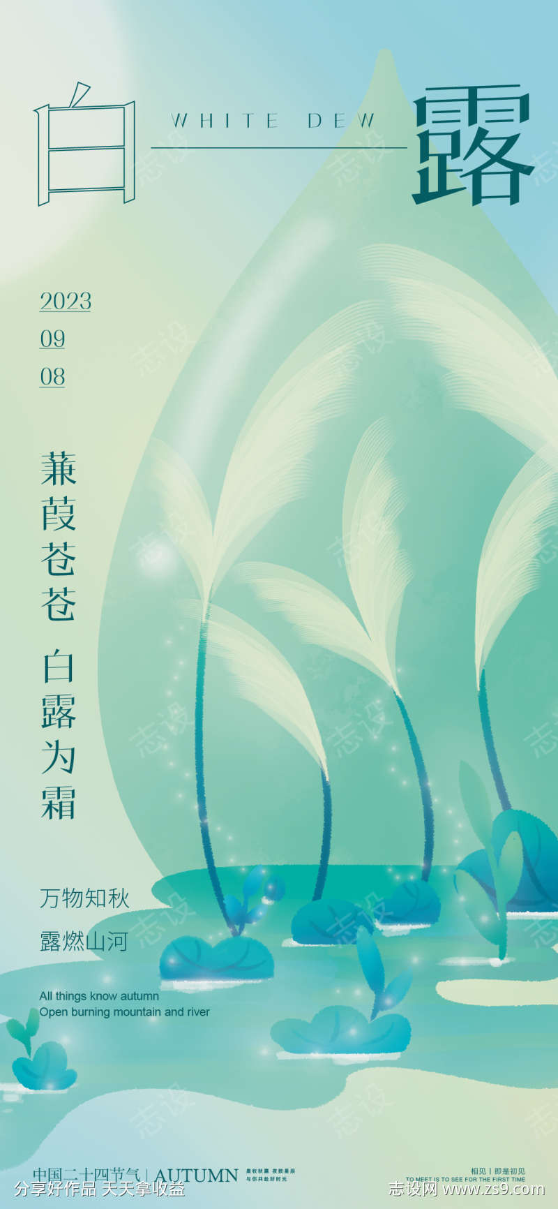 白露节气海报