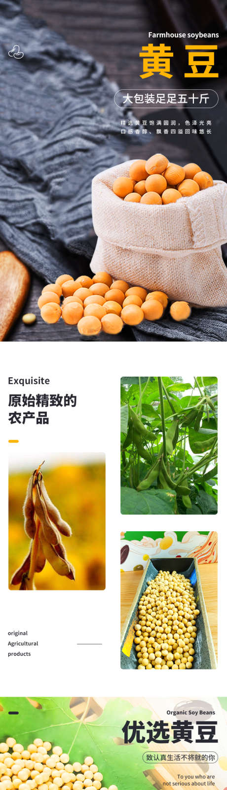 黄豆电商详情页_源文件下载_PSD格式_790X8596像素-商城,豆子,农产品,黄豆,电商,详情页,品质-作品编号:2024081117012010-源文件库-ywjfx.cn