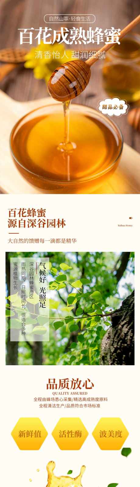 蜂蜜电商详情_源文件下载_PSD格式_790X10650像素-调味品,大气,简约,蜂蜜,食品,电商,详情页-作品编号:2024081215126784-志设-zs9.com