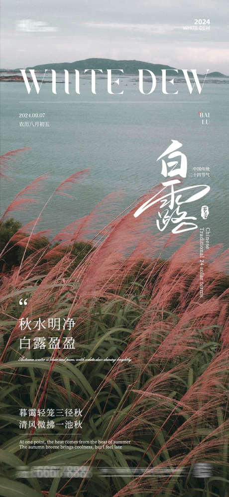 白露节气海报_源文件下载_PSD格式_1125X2436像素-节气,海报,白露,秋天,秋季,芦苇-作品编号:2024081414282618-源文件库-ywjfx.cn