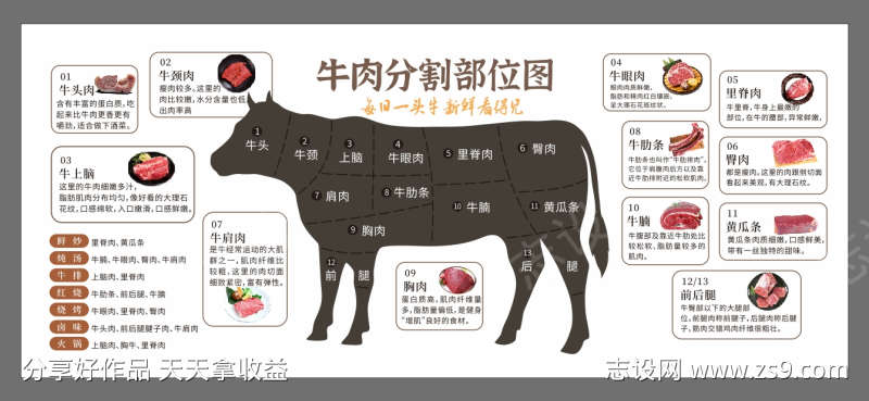 牛肉分解分割部位图