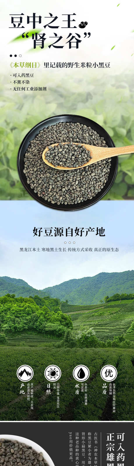 黑豆详情页_源文件下载_PSD格式_790X13252像素-黑豆,详情页,通用,长图,详情-作品编号:2024083011057030-源文件库-ywjfx.cn