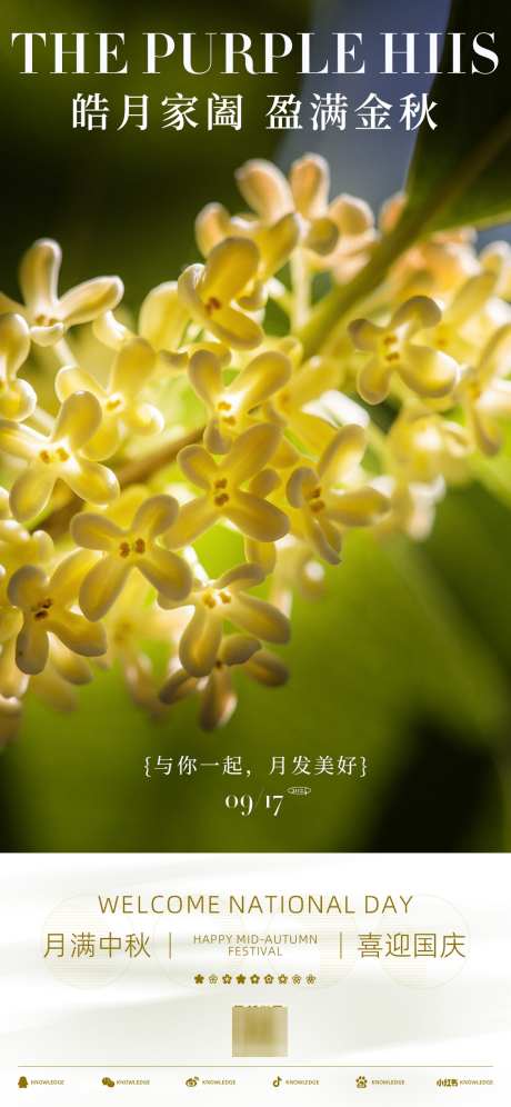 中秋节海报_源文件下载_PSD格式_1125X2436像素-福满中秋,装饰,贺卡,展架,吊旗,活动,展板,背景,广告,促销,DM单,海报-作品编号:2024091114141587-志设-zs9.com