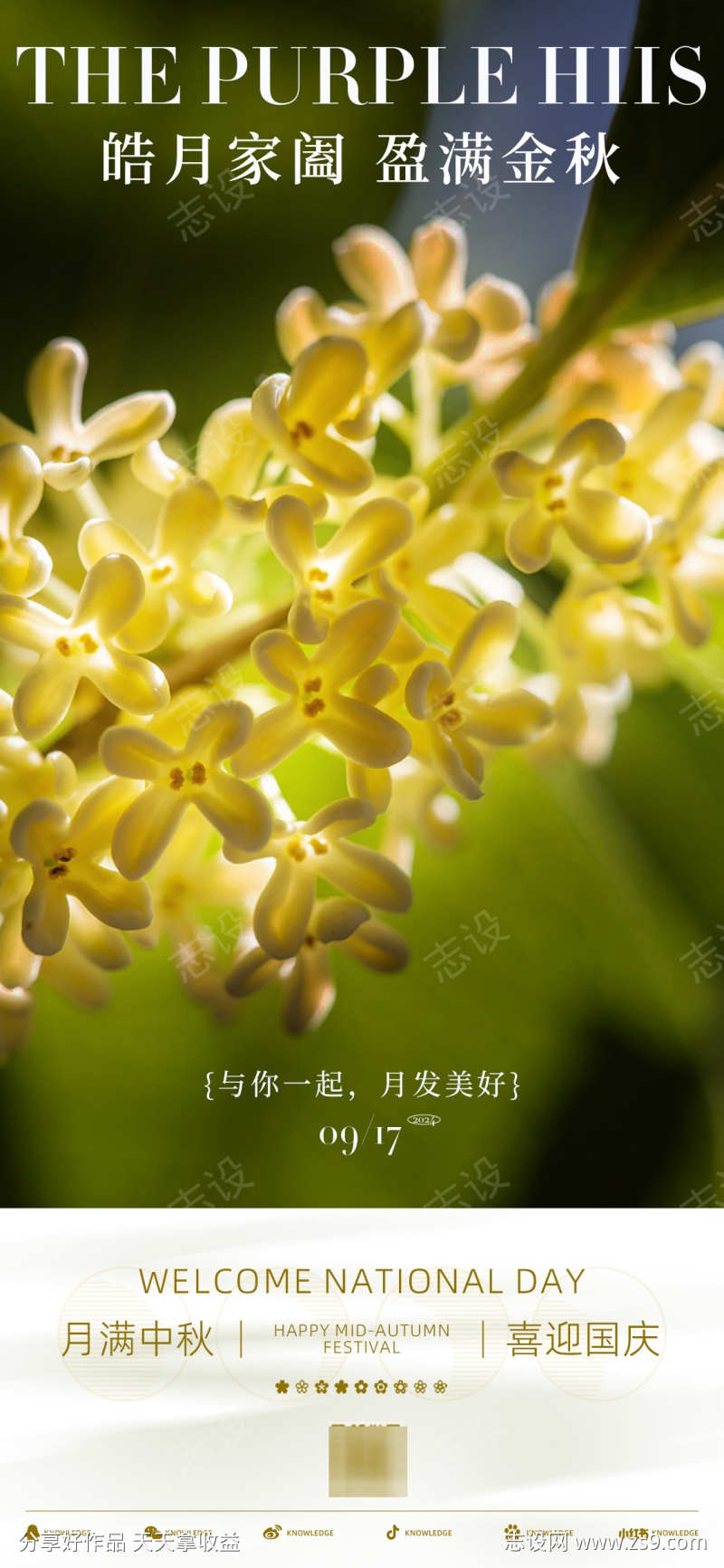 中秋节海报