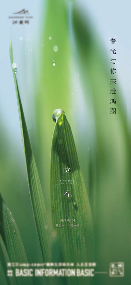 立春节气海报_源文件下载_1567X3404像素-立春,惊蛰,谷雨,清明,春分,下雨,春天,简约,春生,发芽,生长-作品编号:2024092308577300-源文件库-ywjfx.cn