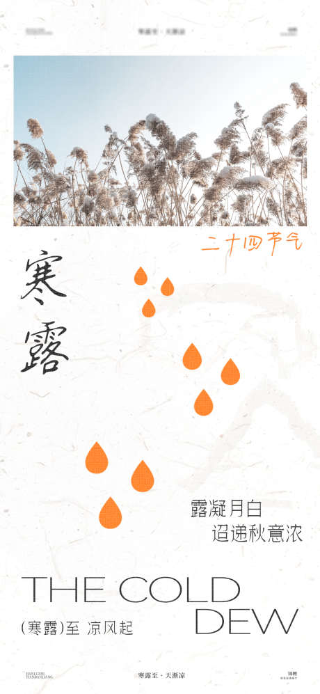 寒露芦苇海报_源文件下载_PSD格式_1200X2600像素-创意,意境,清新,简约,风景,芦苇,寒露,节气,海报-作品编号:2024092711435930-源文件库-ywjfx.cn