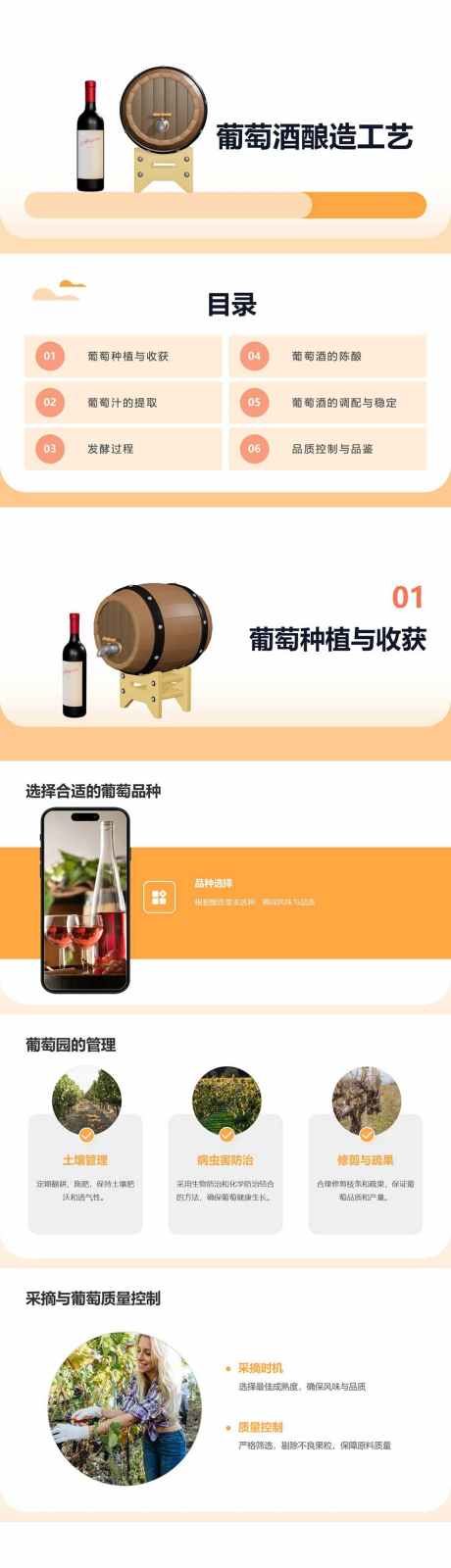 葡萄酒酿造工艺PPT_源文件下载_其他格式格式_853X12000像素-品鉴,工艺,酿造,葡萄酒,PPT,红酒,窖藏-作品编号:2024092709033219-源文件库-ywjfx.cn