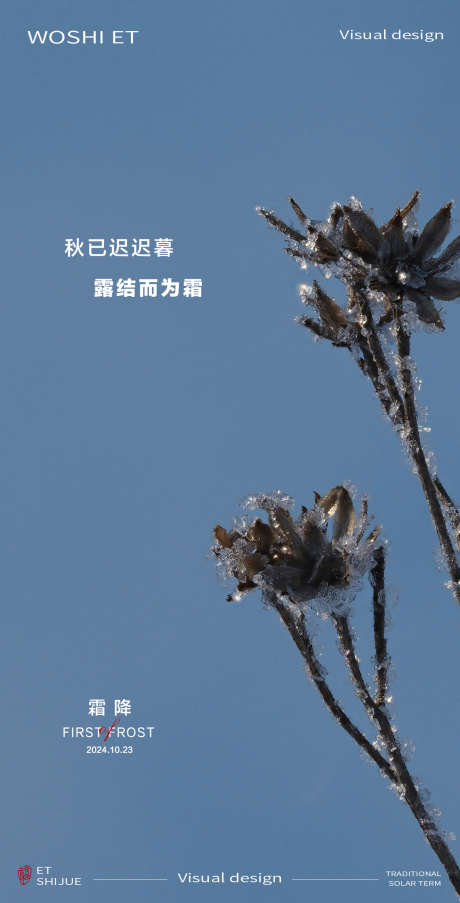 霜降节气海报_源文件下载_PSD格式_1198X2352像素-地产,入冬,冬天,海报,节气,霜降,自然-作品编号:2024101116568583-志设-zs9.com