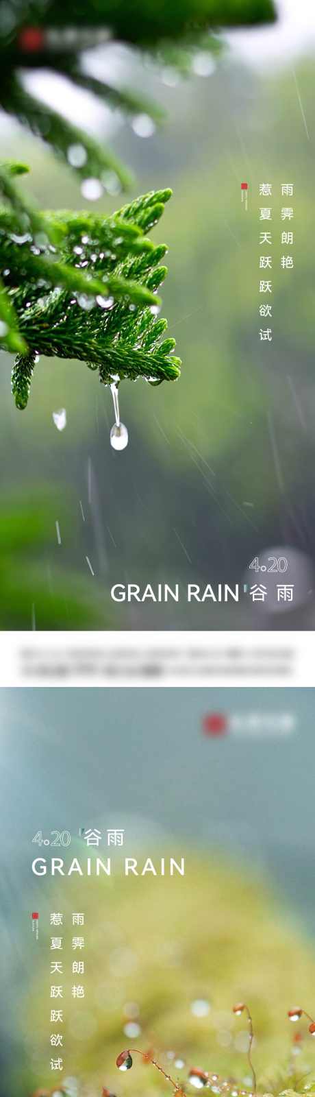 24节气谷雨_源文件下载_1562X6791像素-雨滴,节气,谷雨,地产,春天,春雨,自然-作品编号:2024101609114764-志设-zs9.com